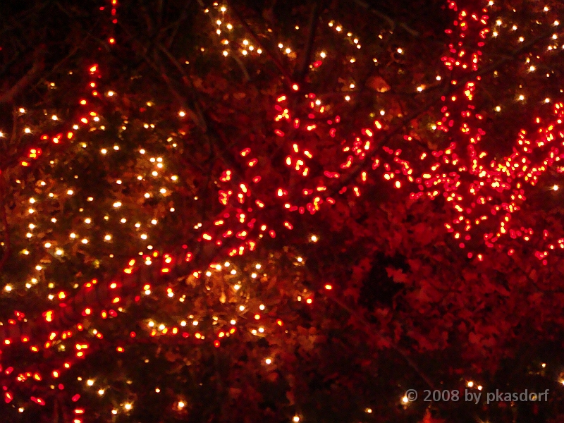 023 Toledo Zoo Light Show [2008 Dec 27].JPG - Scenes from the Toledo Zoo Light Show.